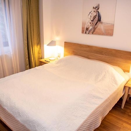 Classic Apartment Near The City Center Κλουζ-Ναπόκα Εξωτερικό φωτογραφία