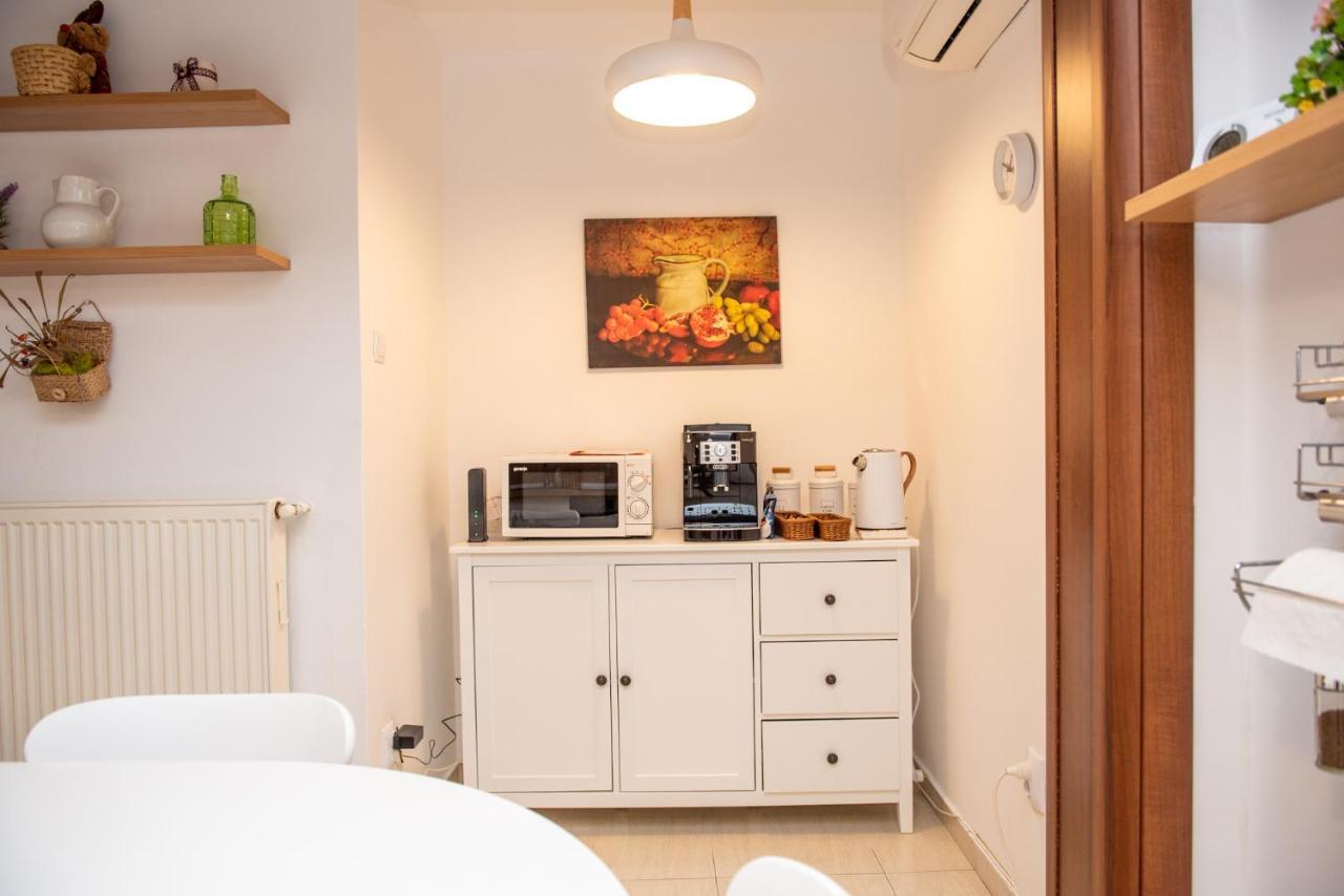 Classic Apartment Near The City Center Κλουζ-Ναπόκα Εξωτερικό φωτογραφία