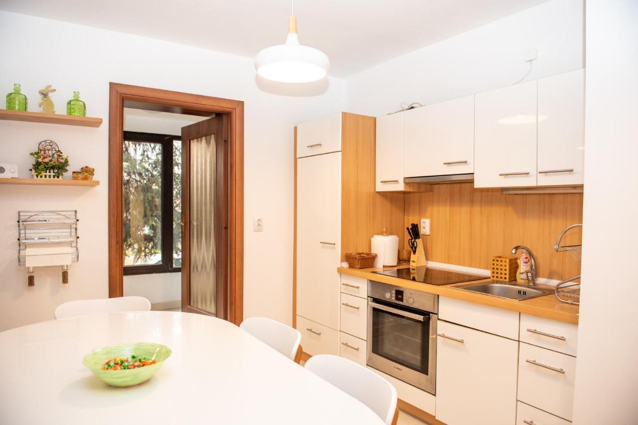 Classic Apartment Near The City Center Κλουζ-Ναπόκα Εξωτερικό φωτογραφία