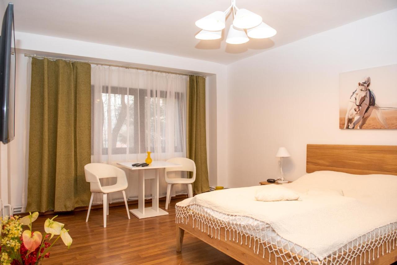 Classic Apartment Near The City Center Κλουζ-Ναπόκα Εξωτερικό φωτογραφία