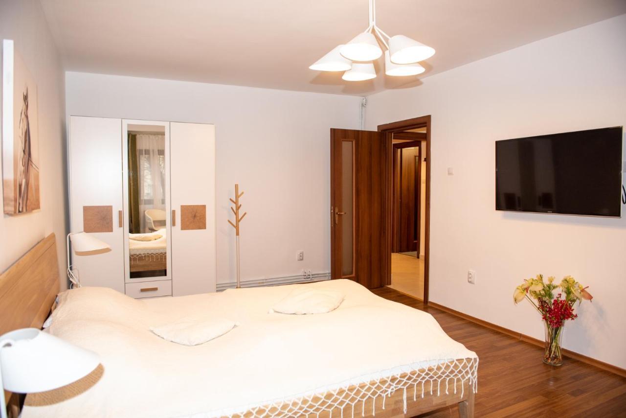 Classic Apartment Near The City Center Κλουζ-Ναπόκα Εξωτερικό φωτογραφία