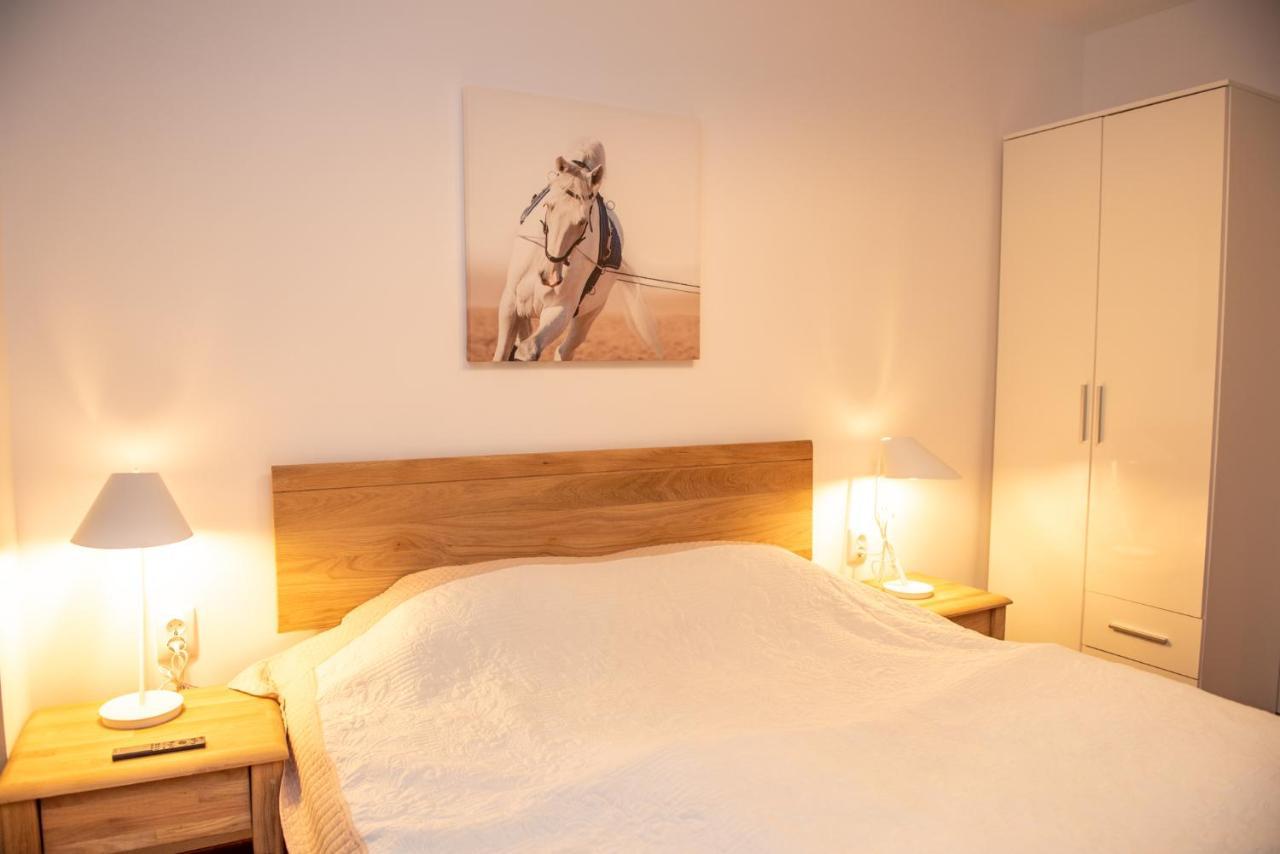 Classic Apartment Near The City Center Κλουζ-Ναπόκα Εξωτερικό φωτογραφία