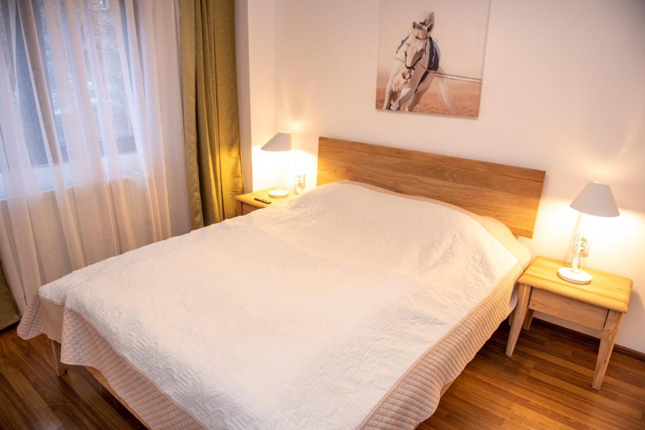 Classic Apartment Near The City Center Κλουζ-Ναπόκα Εξωτερικό φωτογραφία