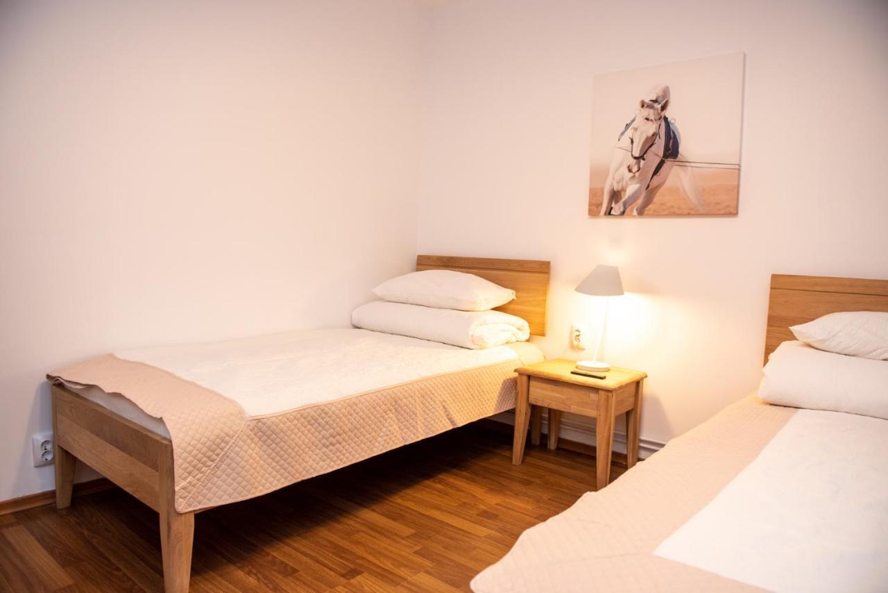 Classic Apartment Near The City Center Κλουζ-Ναπόκα Εξωτερικό φωτογραφία