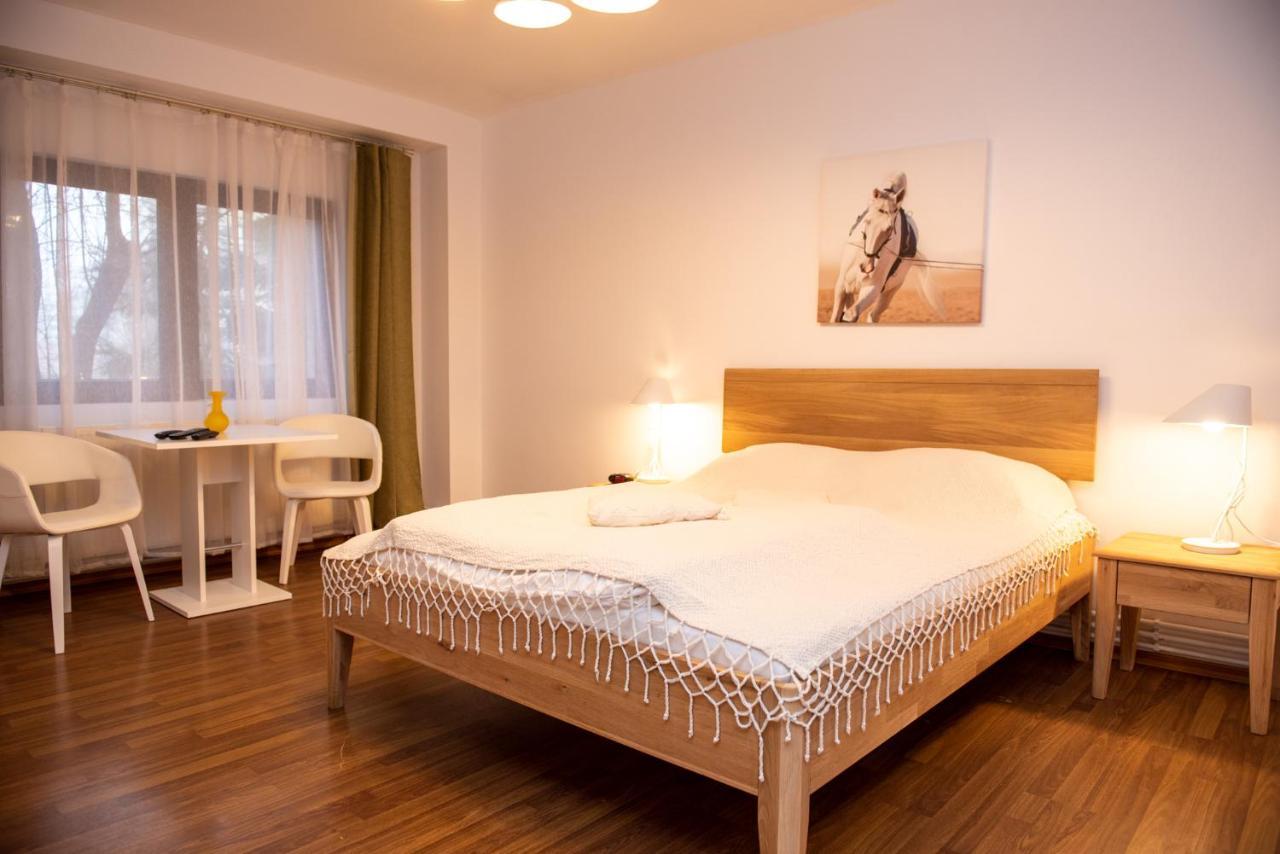 Classic Apartment Near The City Center Κλουζ-Ναπόκα Εξωτερικό φωτογραφία