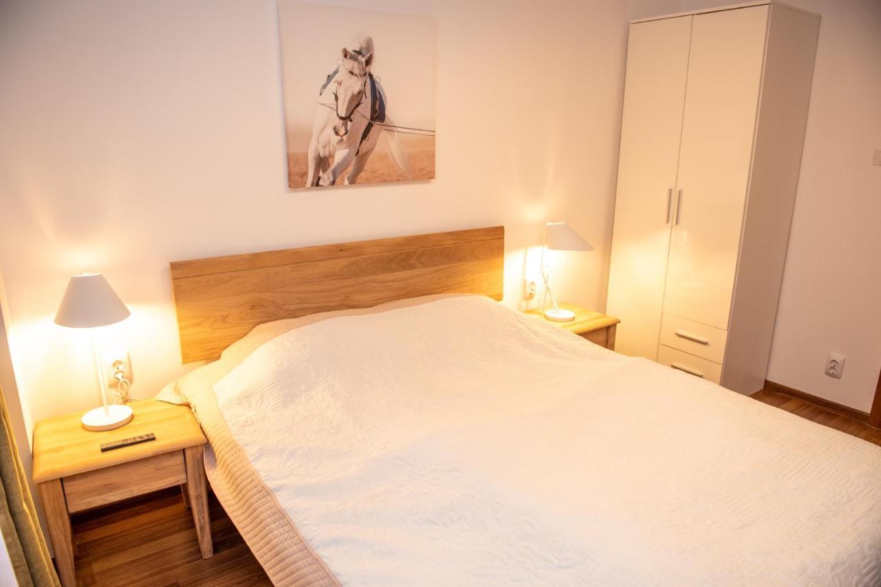 Classic Apartment Near The City Center Κλουζ-Ναπόκα Εξωτερικό φωτογραφία