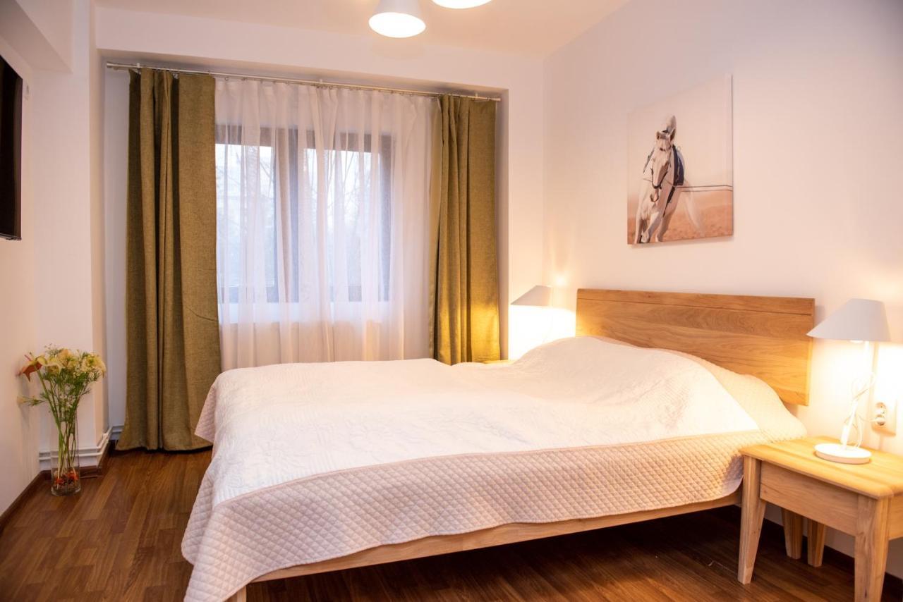 Classic Apartment Near The City Center Κλουζ-Ναπόκα Εξωτερικό φωτογραφία